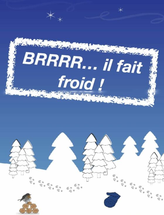 Brrr il fait froid - Kamishibaï - Carole Zaveroni - Théâtre L'Art Dû - 13006 - Marseille - spectacle enfant