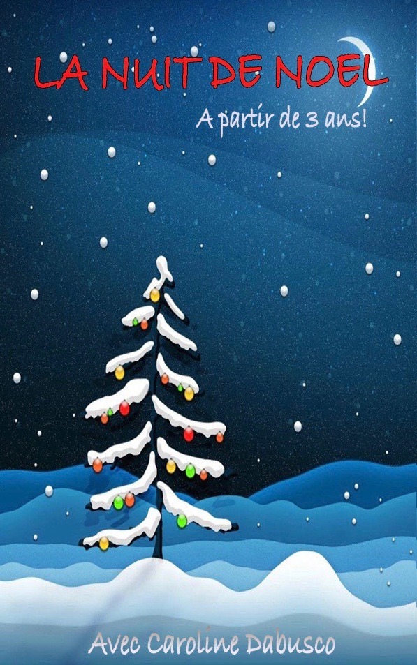 La nuit de Noël - Spectacle - Enfant - Jeune Public - L'Art Dû - 13006