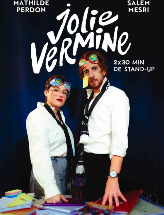 Vermine-LArt-Du-Stand-Up-Francais-Marseille-Humour--scaled.